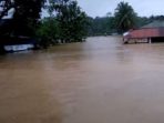750 Keluarga di Tasikmalaya Terdampak Banjir