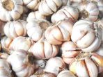 bawang